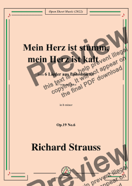 page one of Richard Strauss-Mein Herz ist stumm,mein Herz ist kalt,in b minor