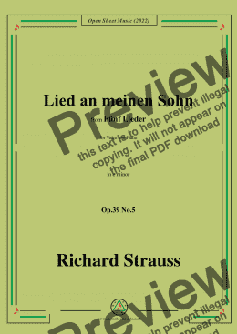 page one of Richard Strauss-Lied an meinen Sohn,in e minor,Op.39 No.5