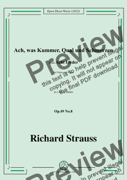 page one of Richard Strauss-Ach,was Kummer,Qual und Schmerzen,in c sharp minor