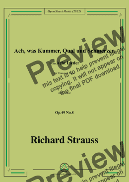 page one of Richard Strauss-Ach,was Kummer,Qual und Schmerzen,in b minor