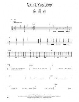 page one of Can't You See (Guitar Cheat Sheet)