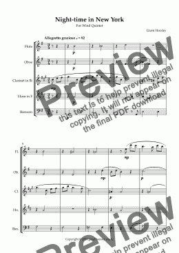 page one of "Night time in New York" A blue waltz for Wind Quintet.