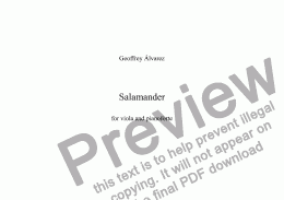 page one of Salamander