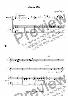 page one of Agnus Dei - For Mixed Choir and Strings Choir Full Score