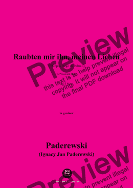 page one of Paderewski-Raubten mir ihn,meinen Lieben(Chłopca mego mi zabrali)(1888),Op.7 No.4,in g minor