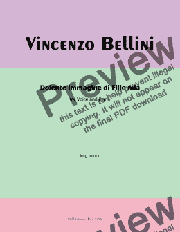 page one of V. Bellini-Dolente immagine di Fille mia, in g minor