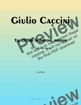 page one of G. Caccini-Tu,ch'hai le penne,Amore,in g minor