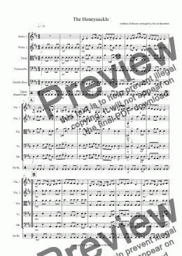 page one of The Honeysuckle for Beginning String Orchestra