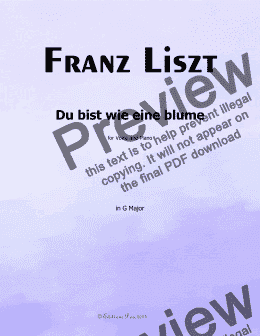 page one of Liszt-Du bist wie eine blume, in G Major