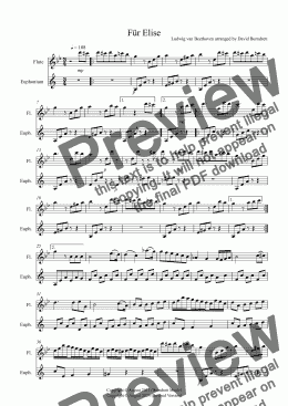 page one of Für Elise for Flute and Euphonium Duet