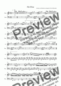 page one of Für Elise for Flute and Tuba Duet