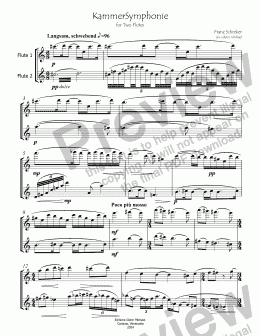 page one of  Kammersymphonie for Two Flutes 