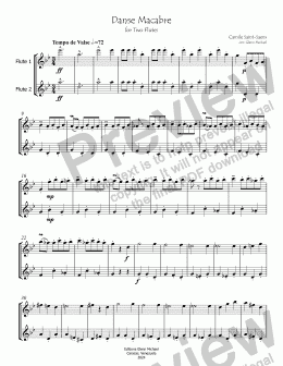 page one of Danse Macabre for Two Flutes