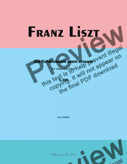 page one of Liszt-Ein fichtenbaum stent einsam,in e minor