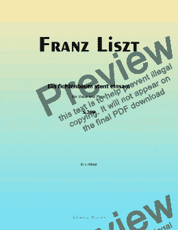 page one of Liszt-Ein fichtenbaum stent einsam,in c minor