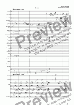 page one of Sonata,The first movement(Grieg piano orchestration)