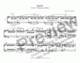 page one of Eagles from 8 One Minute Sketches of Birds
