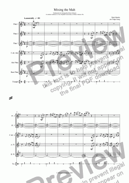 page one of Mixing the Malt - Flute Orchestra