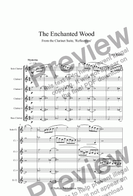 page one of The Enchanted Wood